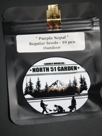 North 51 Garden - Purple Nepal