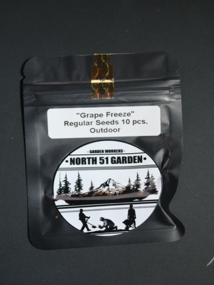 North 51 Garden - Grape Freeze