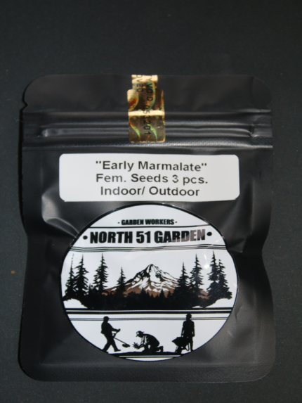 North 51 Garden - Early Marmalate