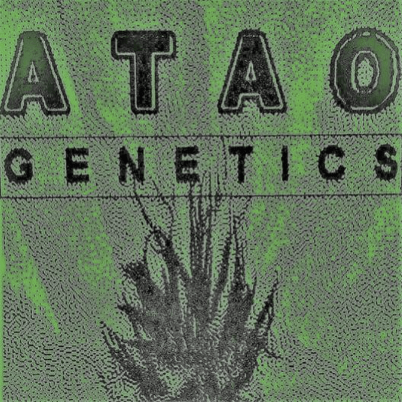 Logo d’ATAO Genetics : inscription « ATAO Genetics » au-dessus d’une plante tramée sur fond vert