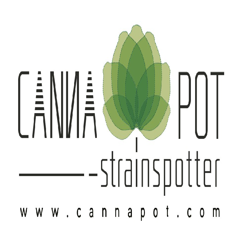 Logo de Cannapot Seeds : inscription « Canna Pot strainspotter » avec une tête de cannabis verte stylisée et www.cannapot.com