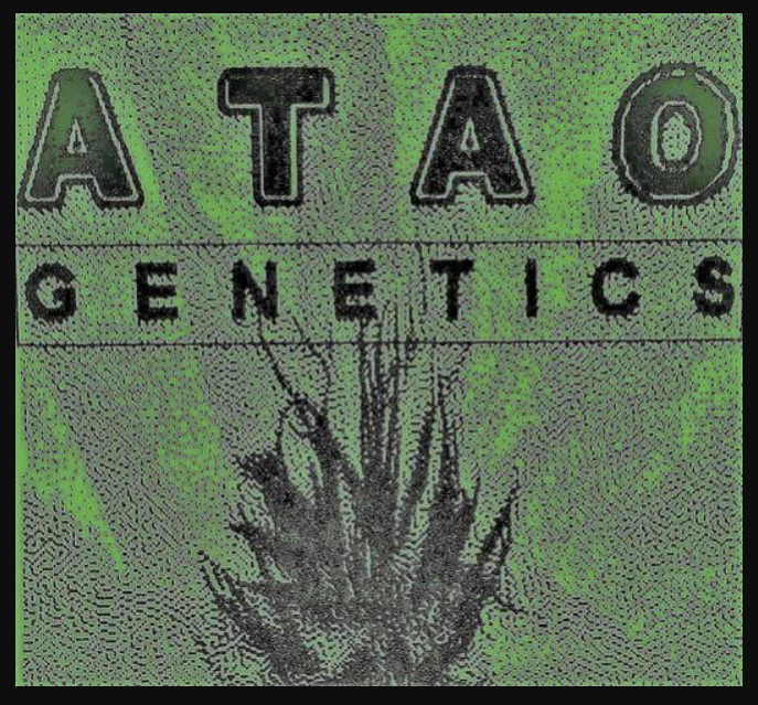 ATAO Genetics 1 Logo