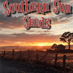 Southern Sun Seeds