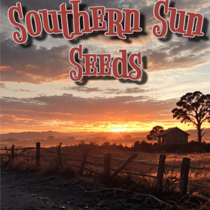 Logo de Southern Sun Seeds : inscription au-dessus d’un coucher de soleil avec maison en bois, arbre et clôture