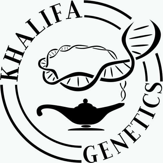 Logo de Khalifa Genetics : lampe à huile d’où s’élève une double hélice d’ADN, dans un cercle de lettres